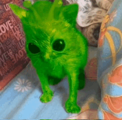 Small