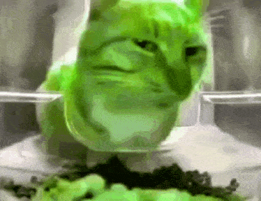 Eat