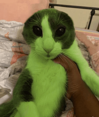 Evil villain